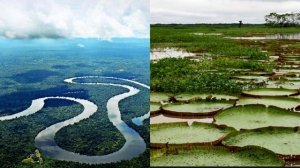 История реки Амазонка