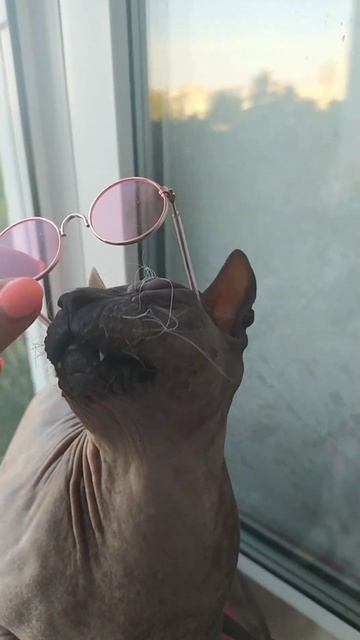 новые очки у Григория смотреть онлайн