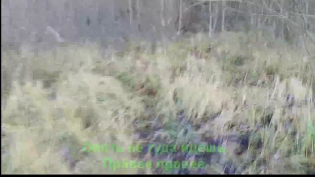Родник обнаружили совсем недавно. A spring or water source. Прикол. смотреть онлайн