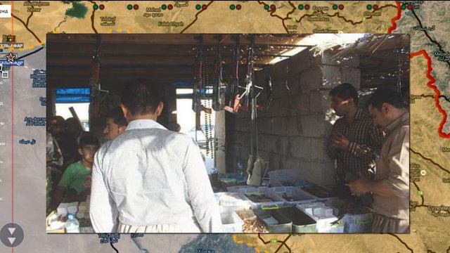 Обзор карты от 29.01.2016г