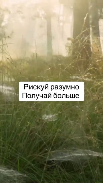 Промокод “NOVSHORTSRU80” Следуй тренду на PocketOption! Ссылка в ?