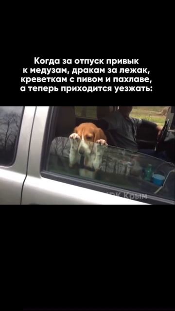 Есть выход: собрать вещи, переехать в Крым и больше не ?