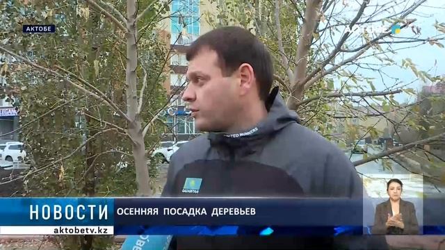 Осенняя посадка деревьев смотреть онлайн