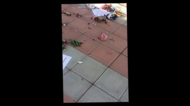 Дети - цветы жизни! Не обрывайте их жизнь!