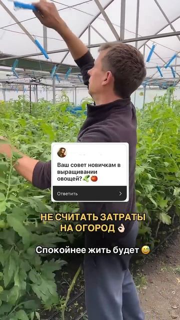 Самый честный совет #теплица #парадайз #огород #марьян? смотреть онлайн
