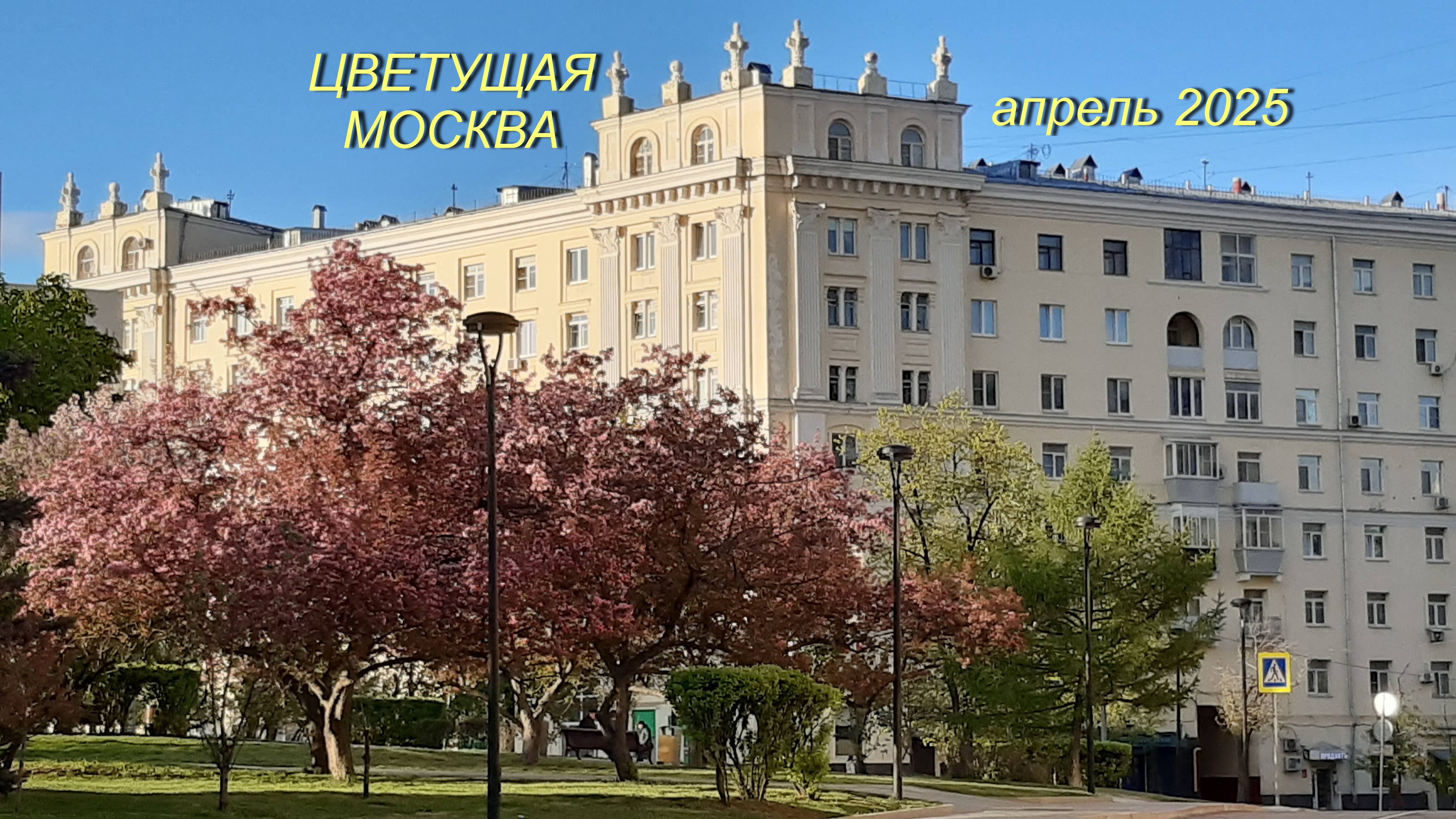 ЦВЕТУЩАЯ МОСКВА. АПРЕЛЬ 2025 смотреть онлайн