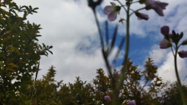 ОТ НАСЛЕДСТВА МУЖА надо УВЕЛИЧИТЬ ПРИБЫЛЬ., решила неп смотреть онлайн