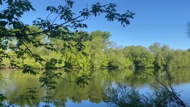 релакс смотреть онлайн