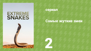 Самые жуткие змеи 2 серия «Африка» (документальный сериал, 2023)
