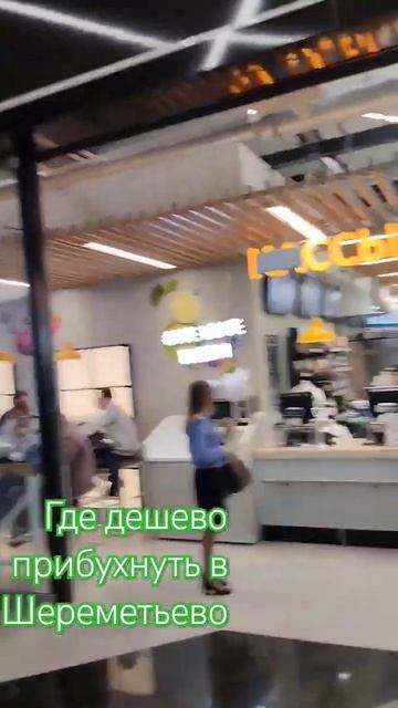 25 января 2024 г.