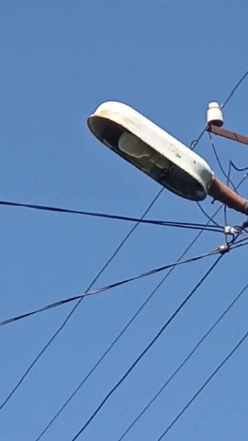 Світильник СКЗР-250 У1 відновлений з лампою LED смотреть онлайн