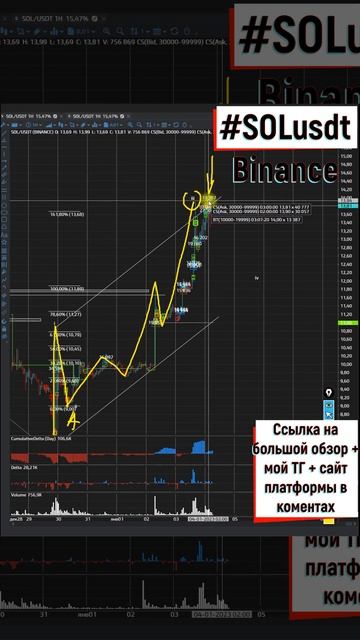 Солана просто ракета закрывает всех продавцов 04 01 2023 смотреть онлайн