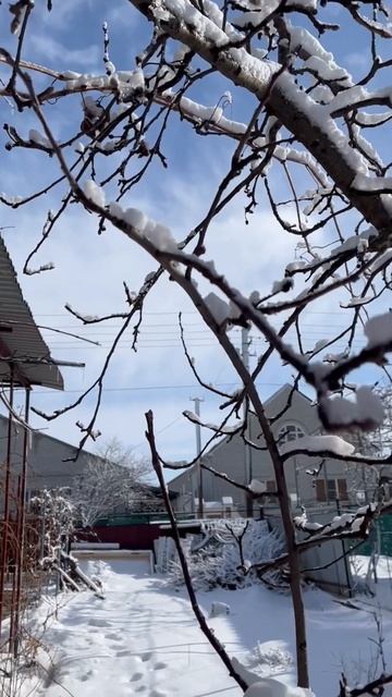 13.02.2023 г. Зима пришла только в феврале. Краснодарский к? смотреть онлайн