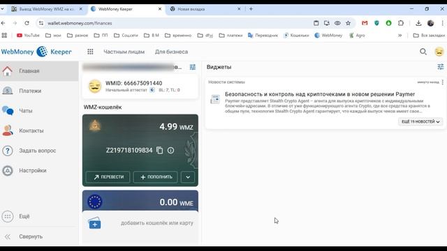 вывод вебмани, Как вывести WebMoney на карту смотреть онлайн
