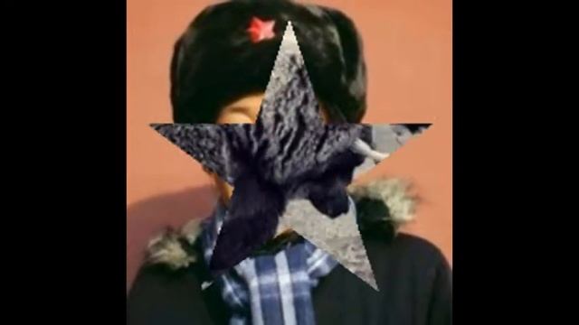 Прикольные картинки смотреть онлайн