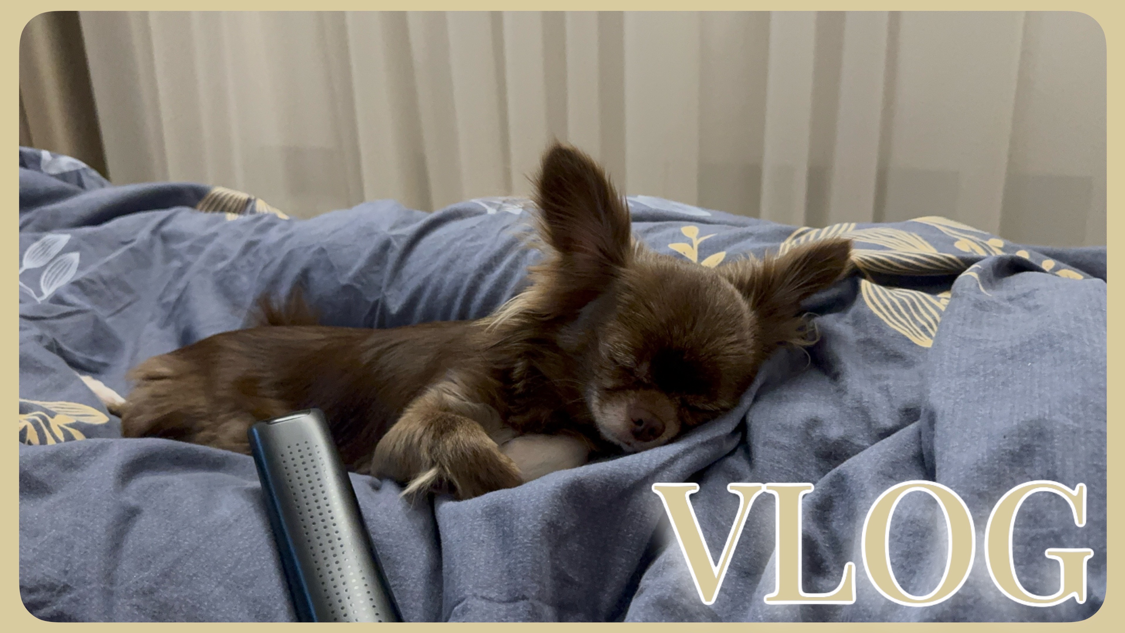 VLOG 10.05.2025 Как-то так проходят наши праздники смотреть онлайн