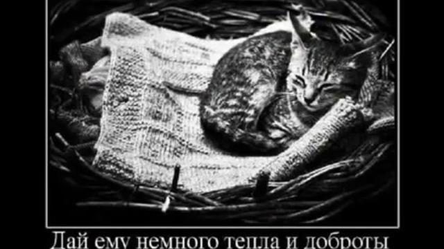 Жизненные демотиваторы. Очень грустные. Демотиваторы 2016! смотреть онлайн