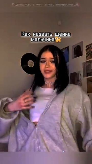 Как назвать щенка мальчика🐕🙈🎀