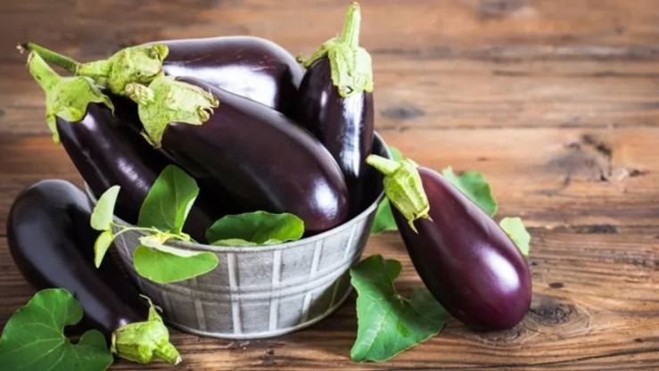 Канал - «Готовь, Расти, Двигайся»