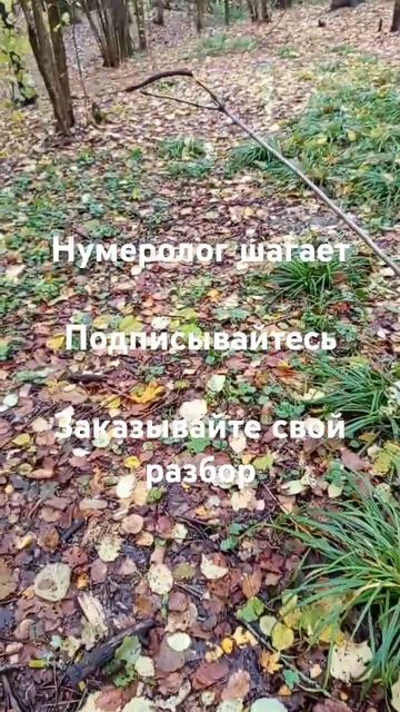 Расчет по дате рождения. Какие у вас есть активы, на ко? смотреть онлайн