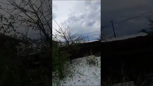 Как выглядит град в Ослянке 1 июля смотреть онлайн