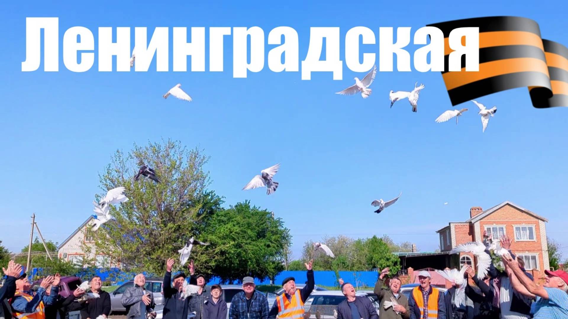 Птичий рынок. Ленинградская. [11.05.2025] смотреть онлайн