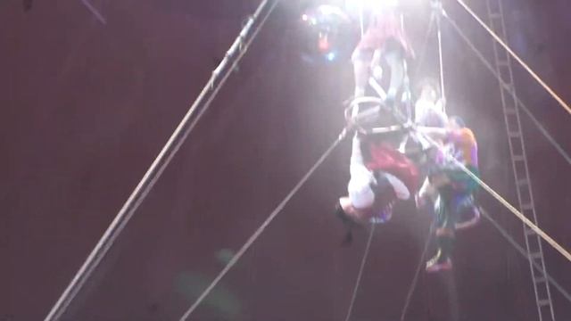 Новая цирковая программа. Акробаты под куполом. The new circus program. Acrobats under the dome.