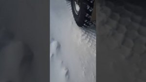 Урал некст не горят лампочки блокировки