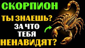 🦂🔴22 ПРИЧИНЫ, ПОЧЕМУ СКОРПИОН - САМЫЙ НЕНАВИДИМЫЙ ЗНАК. ЗА ЧТО ВАС МОГУТ НЕНАВИДЕТЬ❓