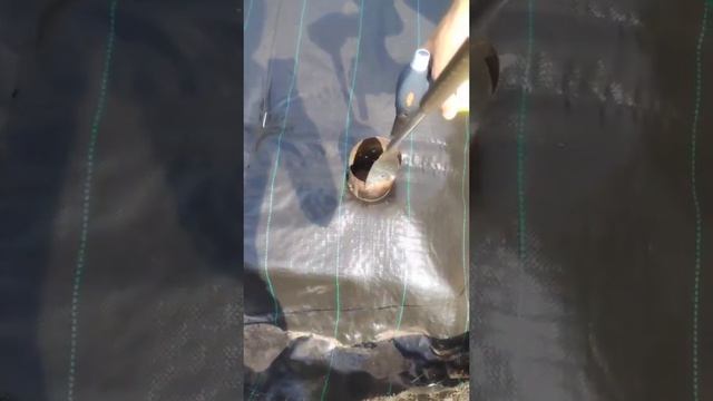 18 августа 2024 г. смотреть онлайн