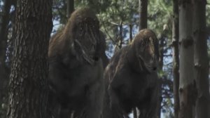 🎬 Тайна пернатых динозавров. Палеонтология. Эволюция.