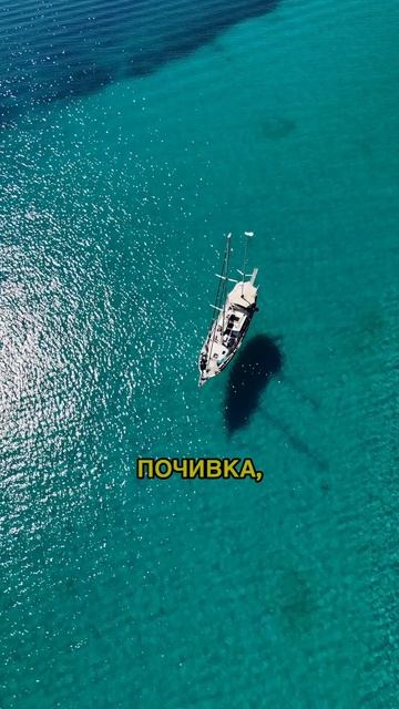 НИКОГА не взимай ЗАЕМ за тези 3 неща!💵 #bulgaria #sofiabulgaria смотреть онлайн