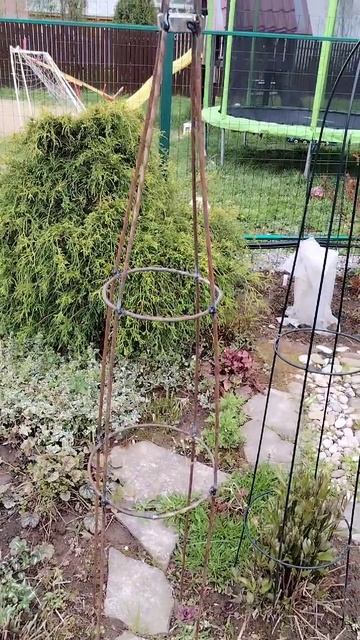 Стойка для клематиса своими руками смотреть онлайн