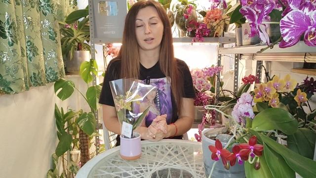 Участники Орхидиума 17-18 мая 2025г: стенд 149-152, Орхорай. Фаленопсисы видовые и гибридные смотреть онлайн