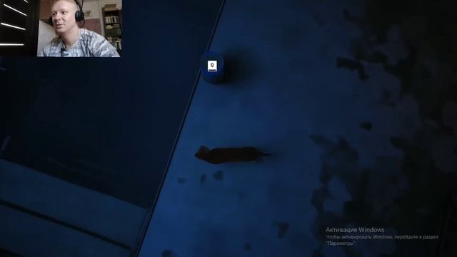 Stray. 1 серия. Обзор. Игра шерстяным дьяволом))) #cat #stray #игра #шерстяной #game смотреть онлайн