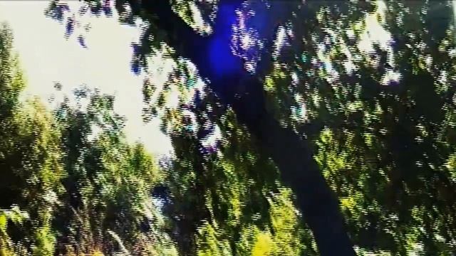 ШАГИ ЧЕРЕЗ ПУСТОЙ ДОМ смотреть онлайн