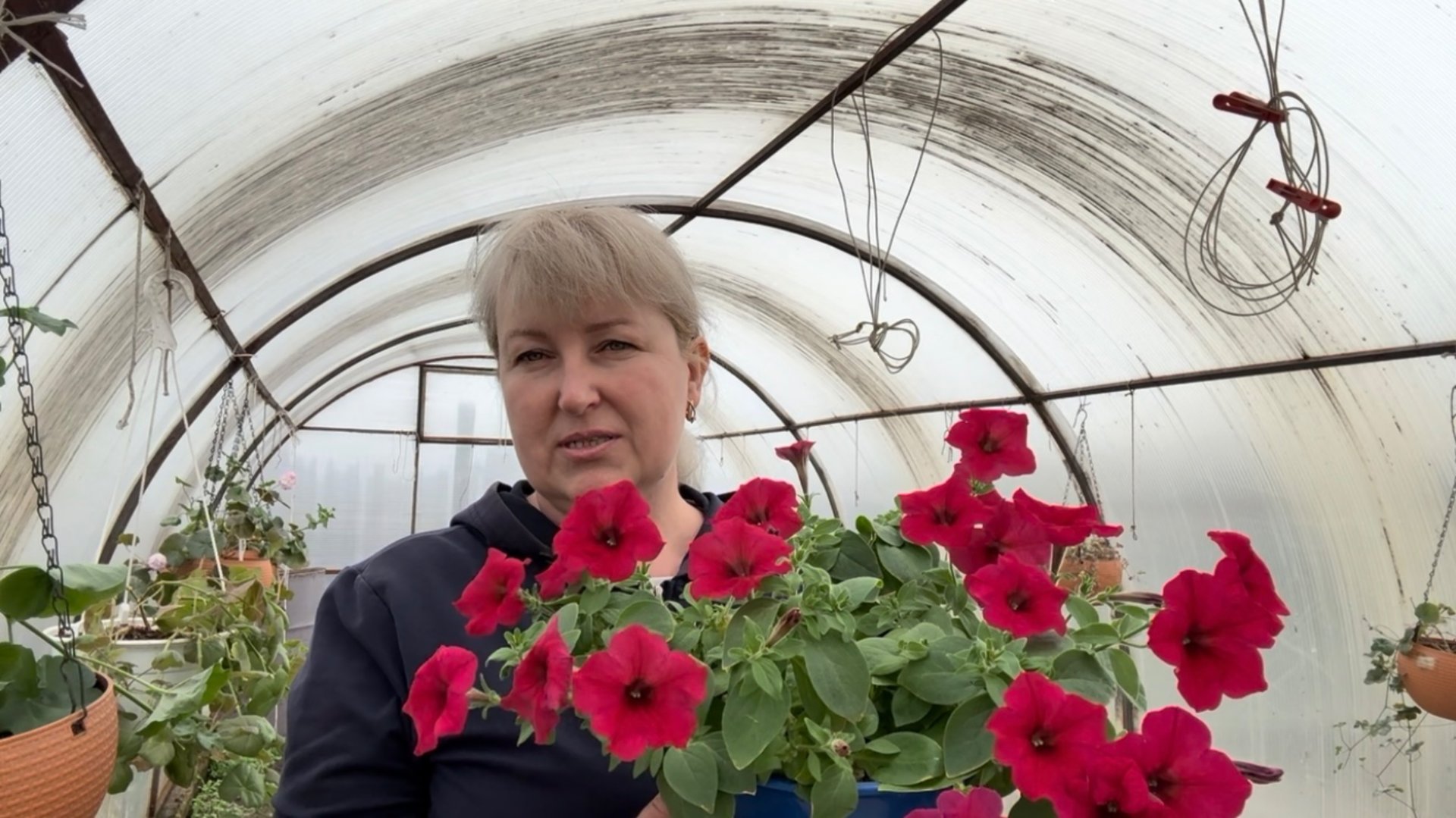 Огородно садовые работы. ПЕТУНЬЯ радует 🌸. Приготовила ОБЕД . Напекла БЛИНОВ. смотреть онлайн