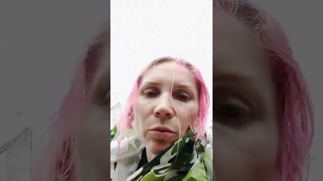 #рекомендации #strawberry #мойсад #клубника ОБЗОР МОИх СОРТ? смотреть онлайн