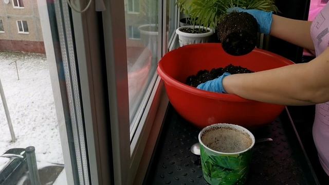 Обзор рассады на 6 апреля 2025 год