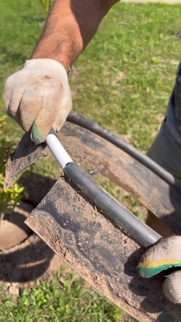 Зацвёл первый цветок на нашем участке. #свойдом #благо?