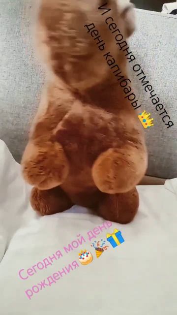 #день#рождения#happy#birthday#капибара#kapybara#shorts смотреть онлайн