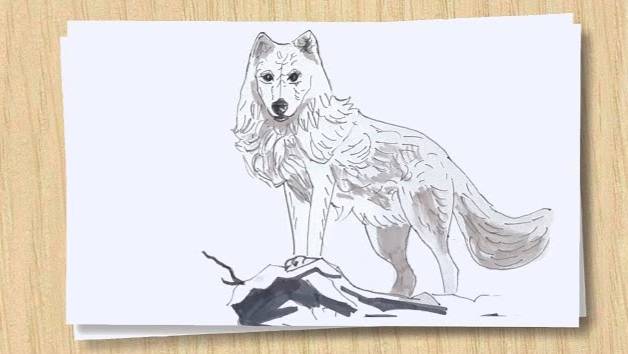 Рисуем Белого волка _ How to draw a white Wolf смотреть онлайн