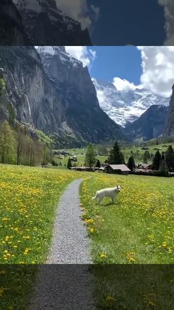 САМОЕ КРАСИВОЕ МЕСТО НА ЗЕМЛЕ смотреть онлайн