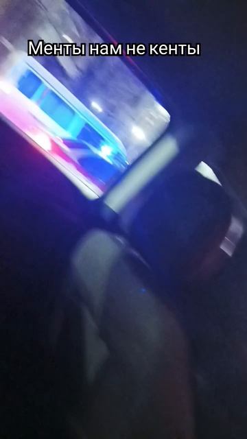 10 ноября 2024 г.