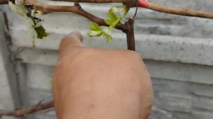 под укрытием тоже морозы достали