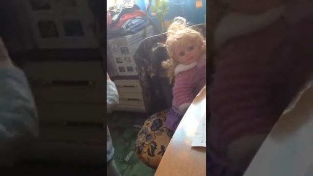 Наш доктор Айболит! смотреть онлайн