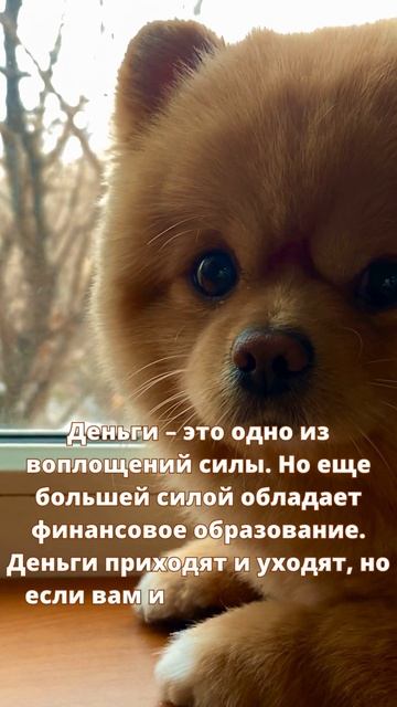 Деньги – это одно из воплощений силы Но еще большей с? смотреть онлайн