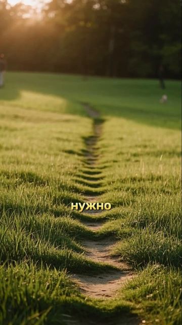 Утро и серотонин