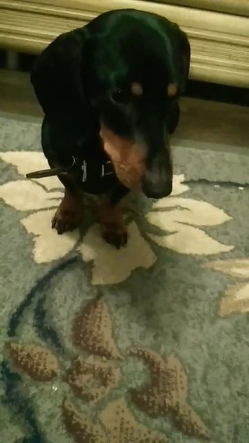 может быть не будем а точнее будем просить вас подписа смотреть онлайн