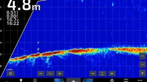Garmin GPSMAP 1223xsv + Panoptix LVS34. Подключаем Onehelm к телефону и смотрим мультики 😁